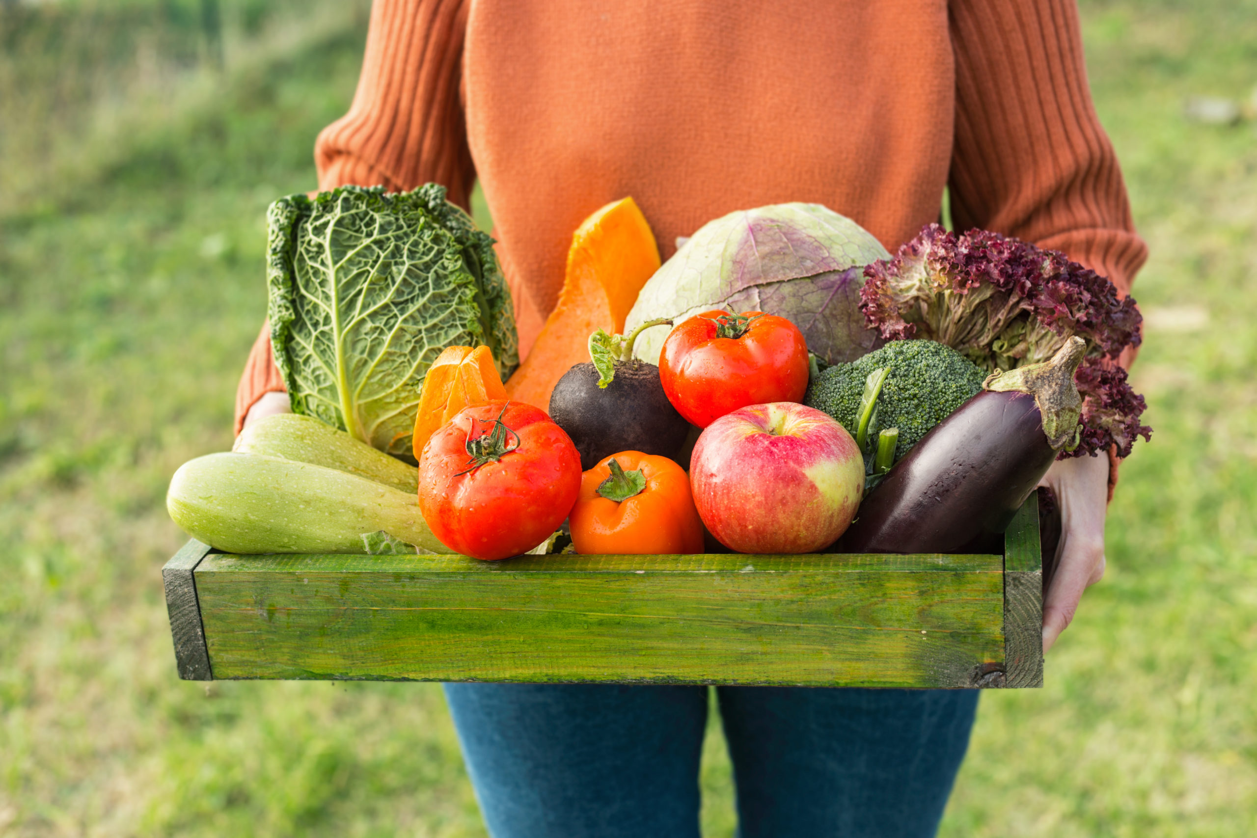 farmer holding box of organic vegetables